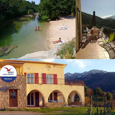 95M2 Au Calme A 25Mn Ajaccio, Plages, Linge Inclus Parking Ok Ucciani Exteriér fotografie