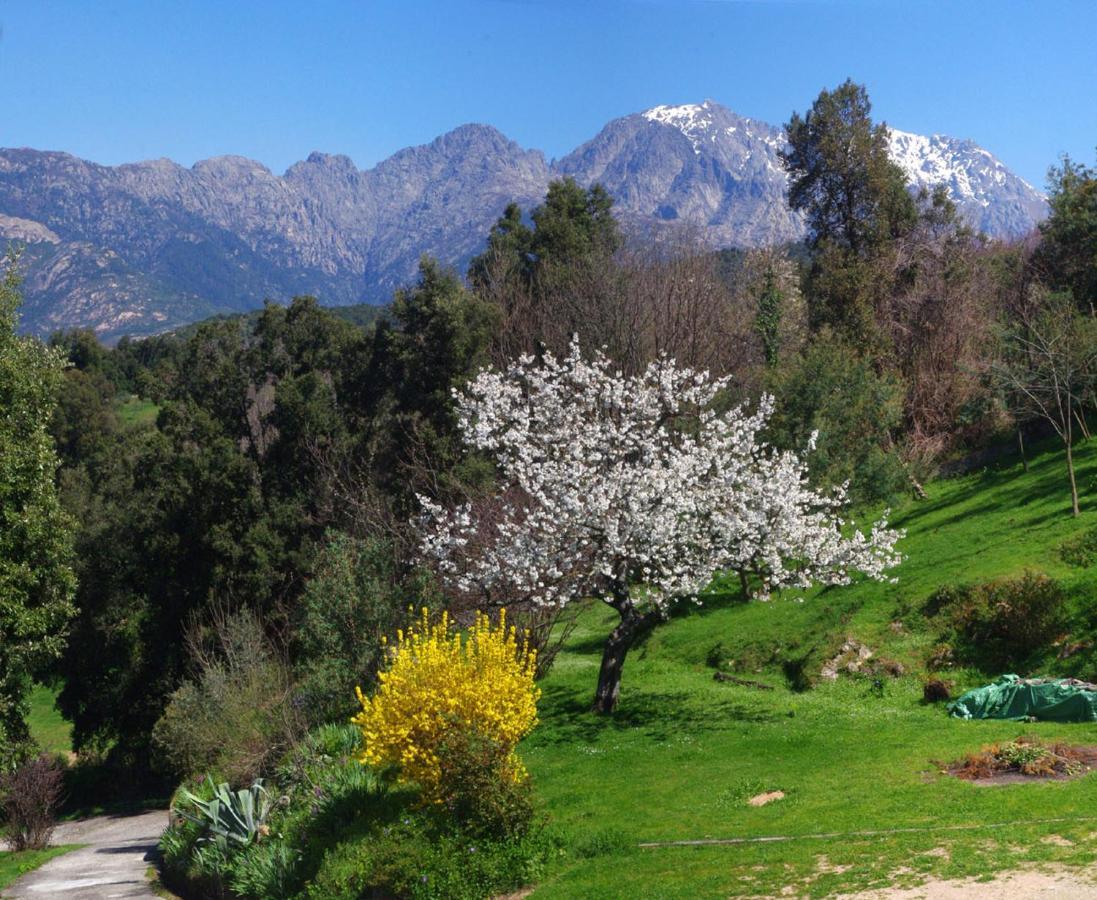 95M2 Au Calme A 25Mn Ajaccio, Plages, Linge Inclus Parking Ok Ucciani Exteriér fotografie