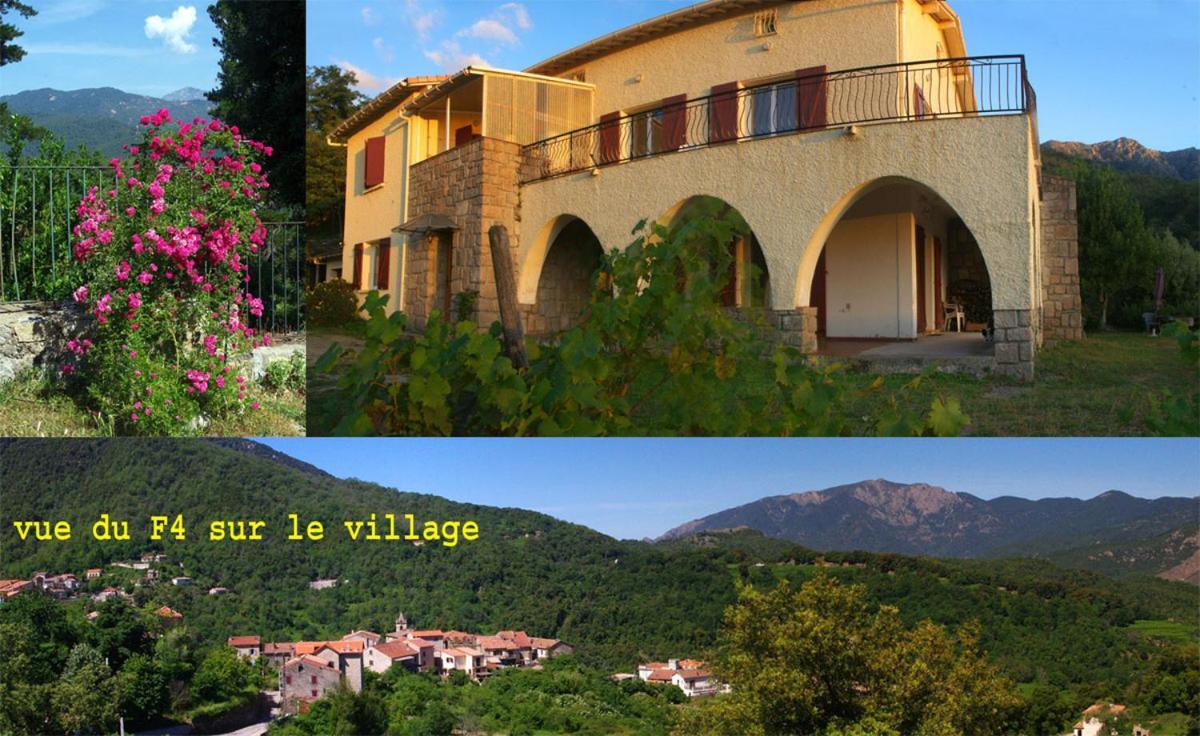 95M2 Au Calme A 25Mn Ajaccio, Plages, Linge Inclus Parking Ok Ucciani Exteriér fotografie