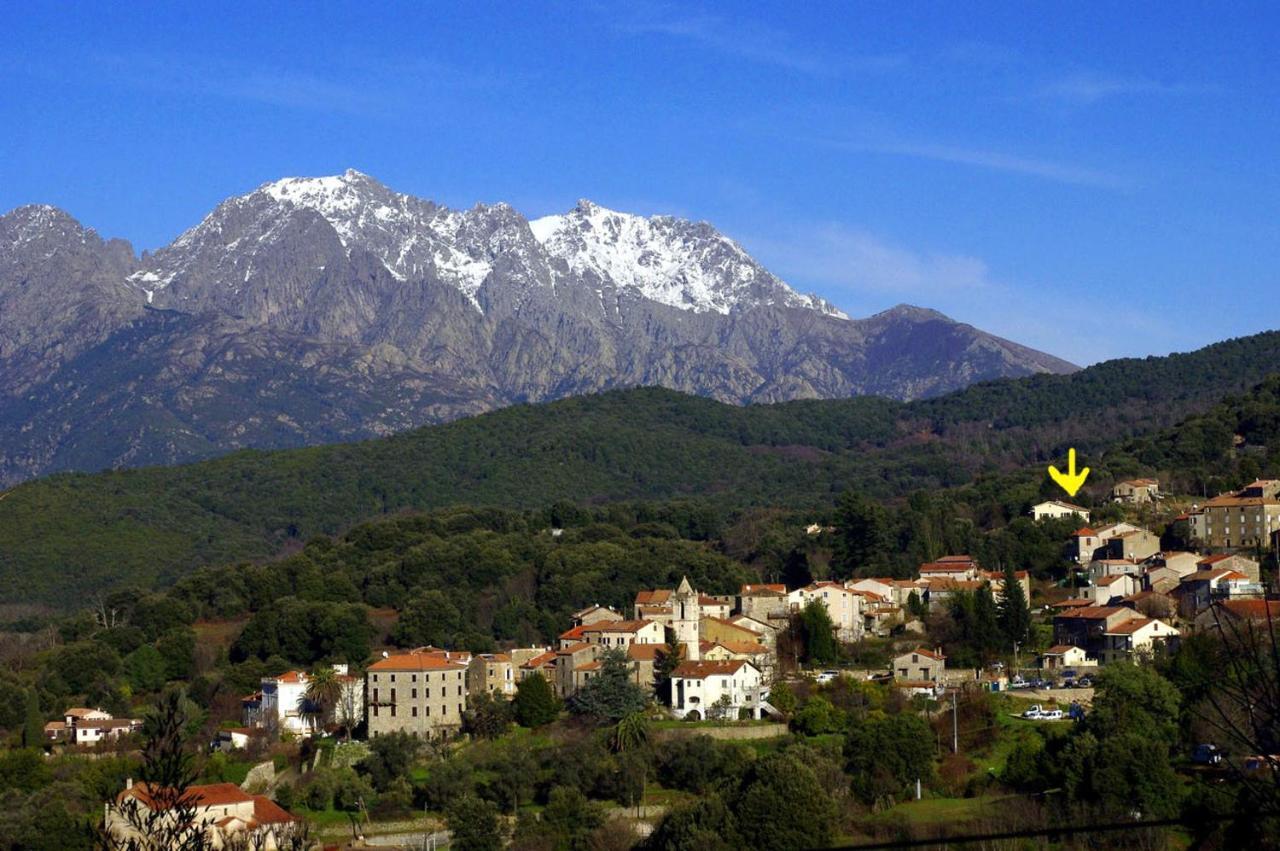 95M2 Au Calme A 25Mn Ajaccio, Plages, Linge Inclus Parking Ok Ucciani Exteriér fotografie