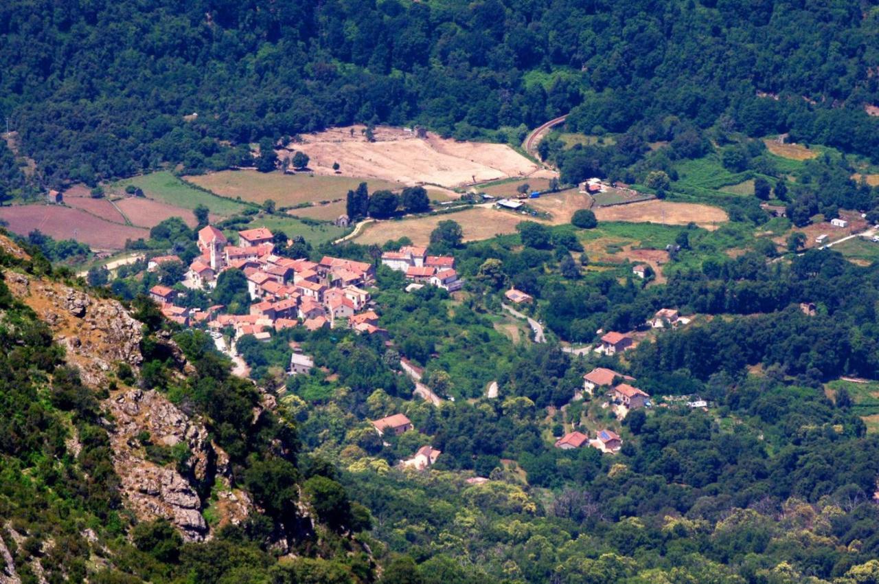 95M2 Au Calme A 25Mn Ajaccio, Plages, Linge Inclus Parking Ok Ucciani Exteriér fotografie