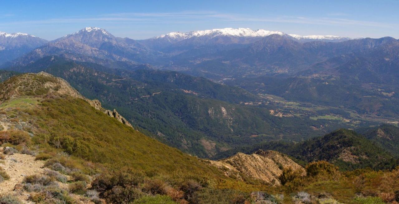 95M2 Au Calme A 25Mn Ajaccio, Plages, Linge Inclus Parking Ok Ucciani Exteriér fotografie