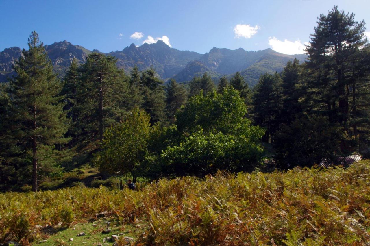 95M2 Au Calme A 25Mn Ajaccio, Plages, Linge Inclus Parking Ok Ucciani Exteriér fotografie