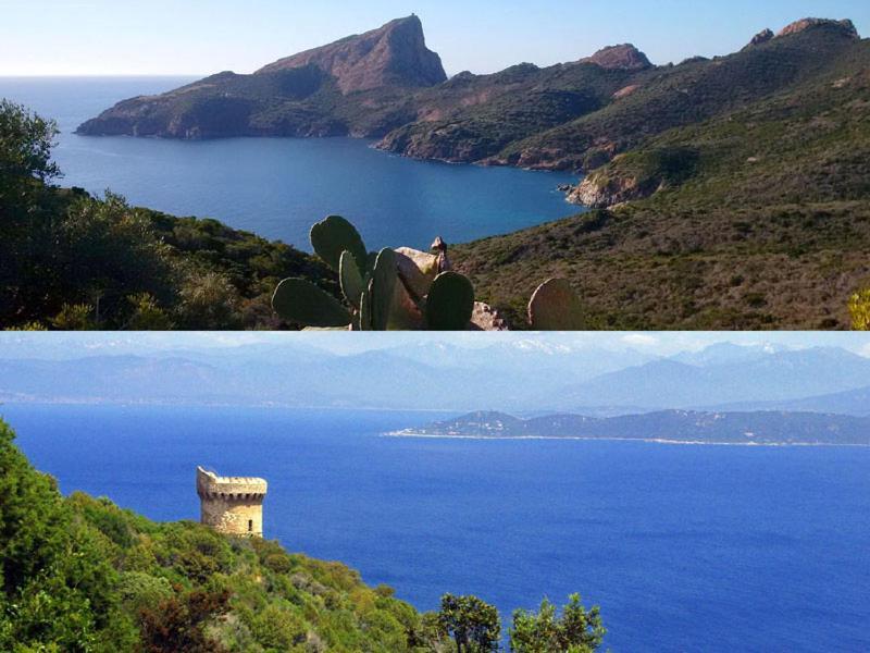 95M2 Au Calme A 25Mn Ajaccio, Plages, Linge Inclus Parking Ok Ucciani Exteriér fotografie